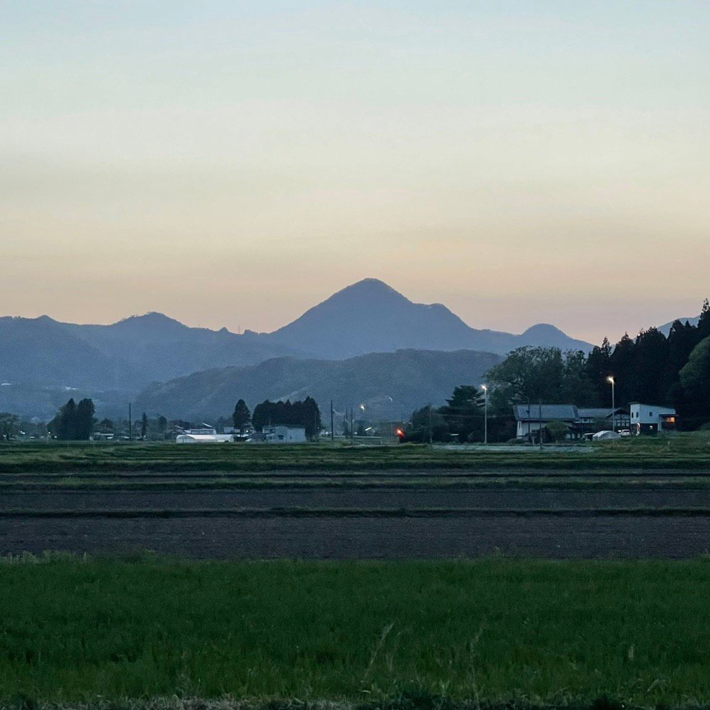 キャップ/南昌山/毒ヶ森探検倶楽部/臙脂色（エンジ）