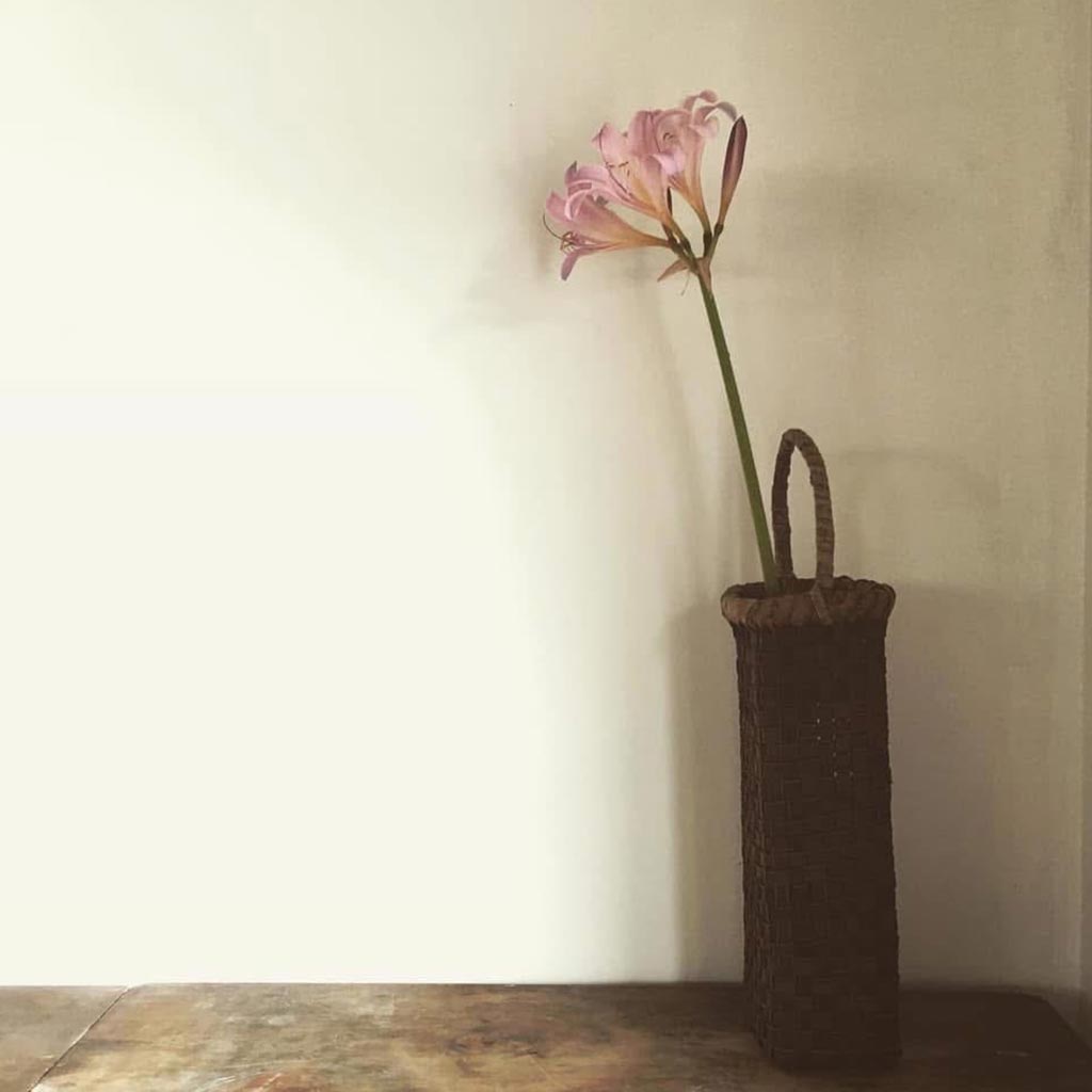 iciripiciri/ワイン/くるみ/胡桃/カゴ/籠/民藝/手仕事/丁寧な暮し/CINQ